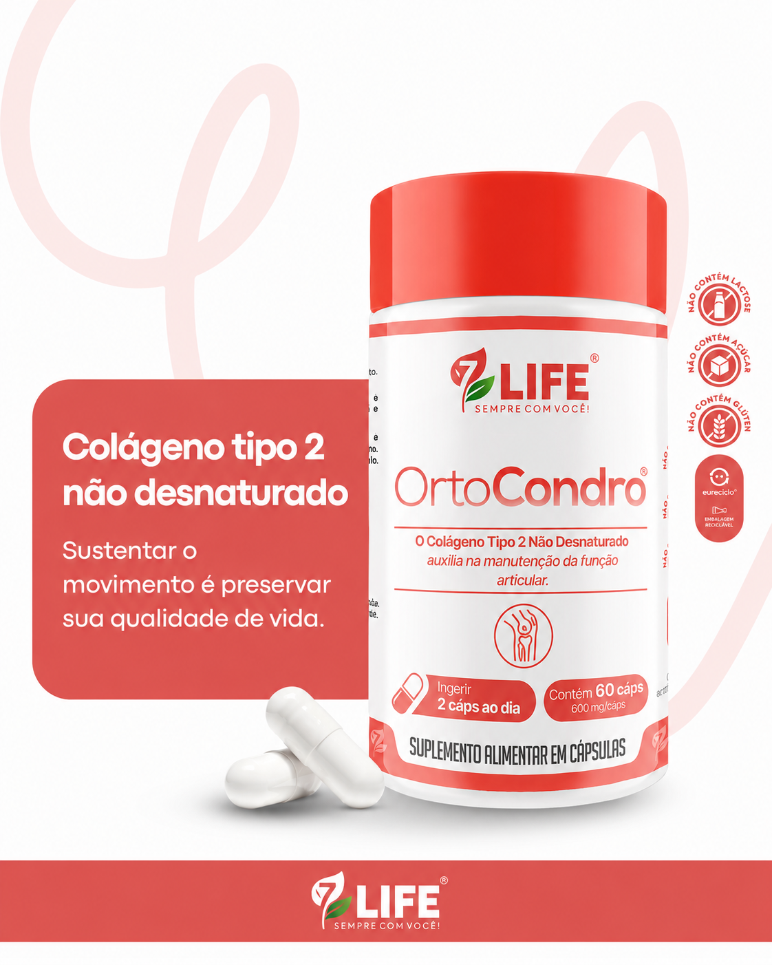 OrtoCondro®